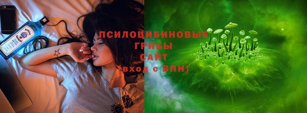 герыч Лагань