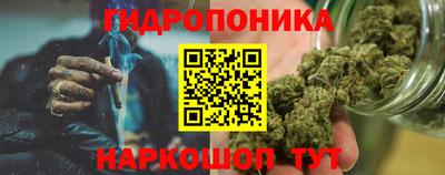 apvp Аргун
