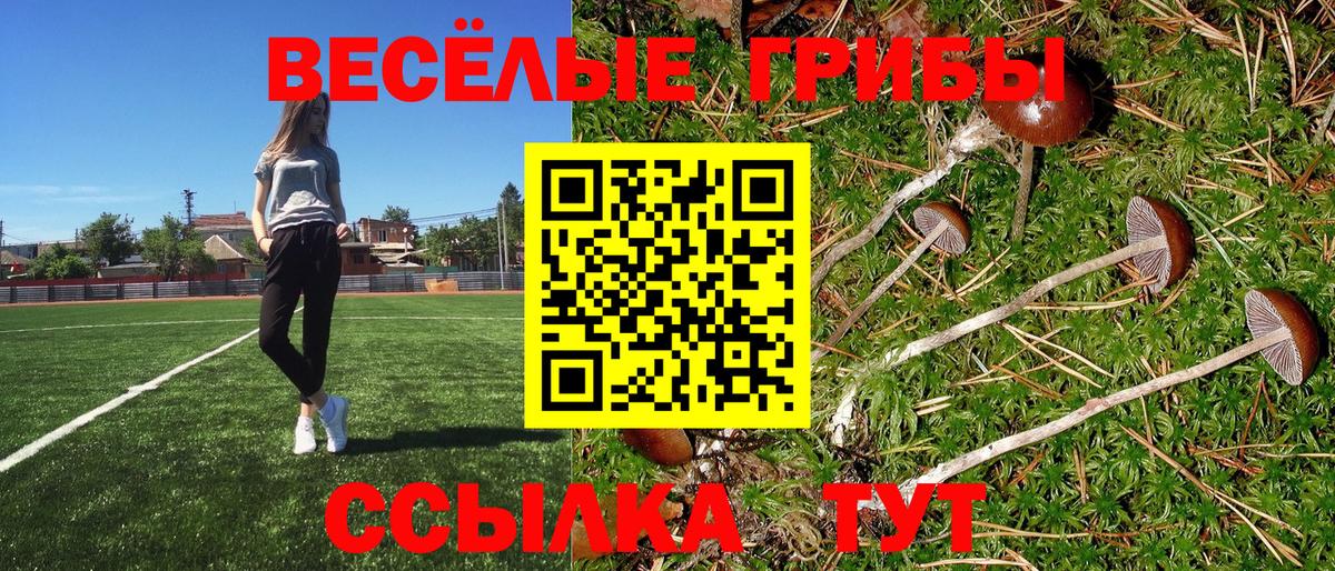 Псилоцибиновые грибы прущие грибы Балабаново